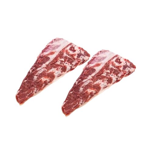 Pluma Ibérica