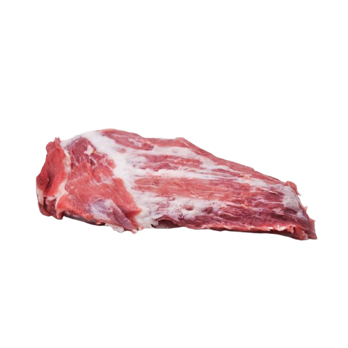 Falsa Pluma Ibérica