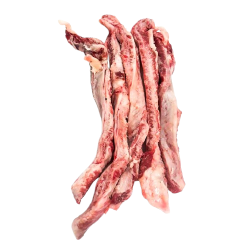 Lagartito Ibérico
