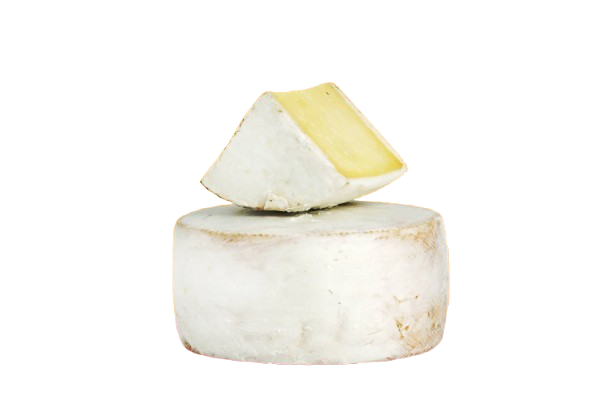Queso Curado de Oveja en Manteca